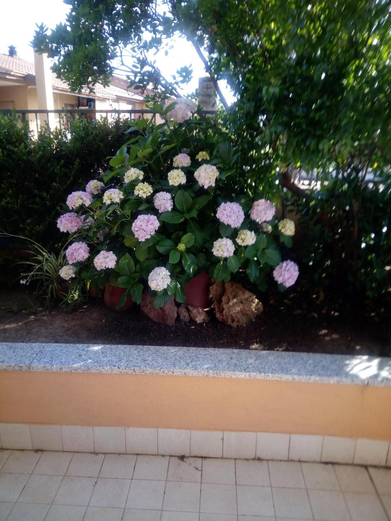 Casa Al Mare Con Giardino Villa Alghero Ngoại thất bức ảnh